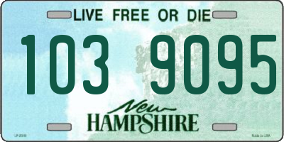 NH license plate 1039095