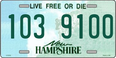 NH license plate 1039100