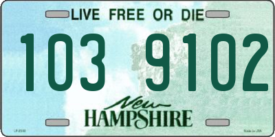 NH license plate 1039102
