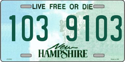 NH license plate 1039103