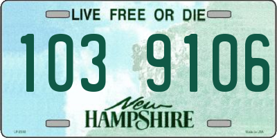 NH license plate 1039106