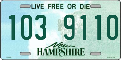NH license plate 1039110