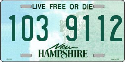 NH license plate 1039112