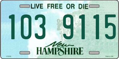 NH license plate 1039115