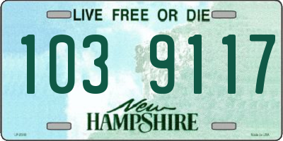 NH license plate 1039117