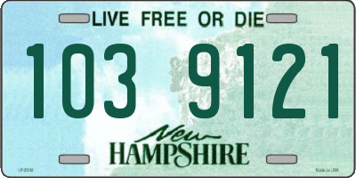 NH license plate 1039121