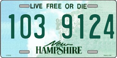 NH license plate 1039124