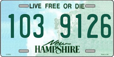 NH license plate 1039126