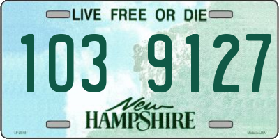 NH license plate 1039127