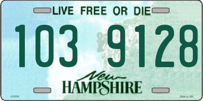 NH license plate 1039128