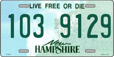 NH license plate 1039129