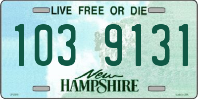 NH license plate 1039131