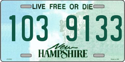 NH license plate 1039133