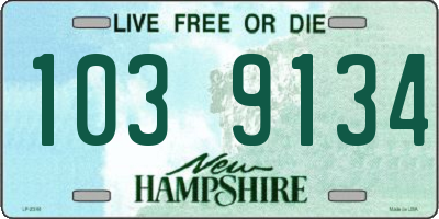 NH license plate 1039134