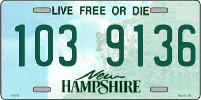 NH license plate 1039136