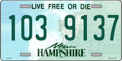 NH license plate 1039137