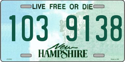 NH license plate 1039138