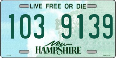 NH license plate 1039139
