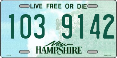 NH license plate 1039142