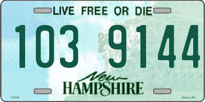 NH license plate 1039144