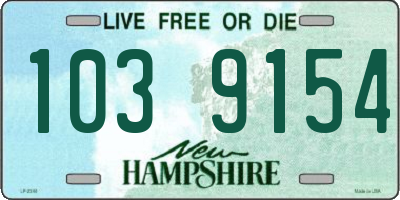 NH license plate 1039154