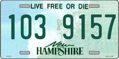 NH license plate 1039157