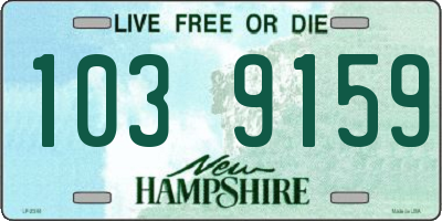 NH license plate 1039159