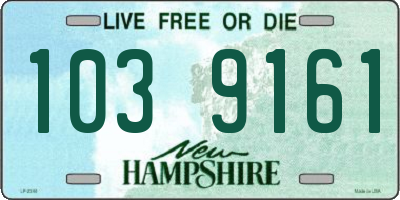 NH license plate 1039161