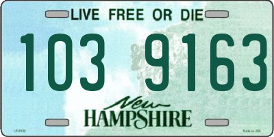 NH license plate 1039163