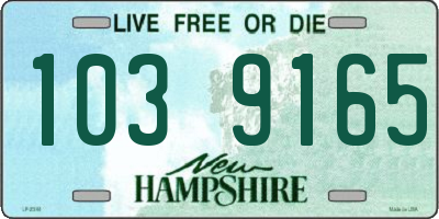 NH license plate 1039165