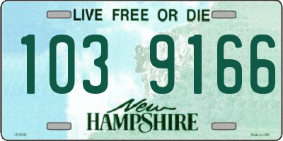 NH license plate 1039166