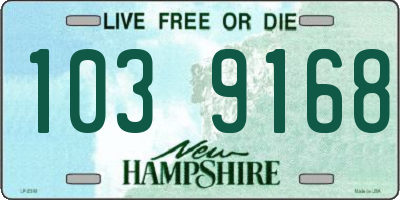 NH license plate 1039168
