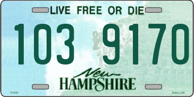 NH license plate 1039170