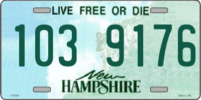 NH license plate 1039176
