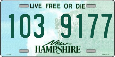 NH license plate 1039177