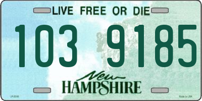 NH license plate 1039185