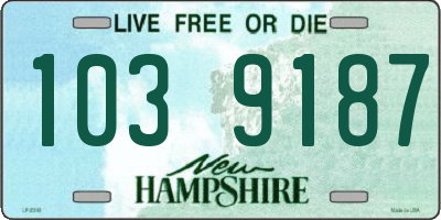 NH license plate 1039187