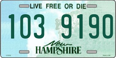 NH license plate 1039190