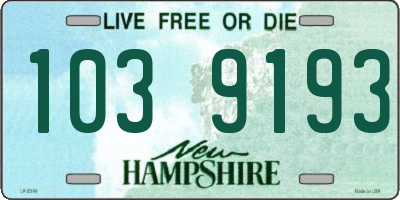 NH license plate 1039193