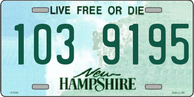 NH license plate 1039195