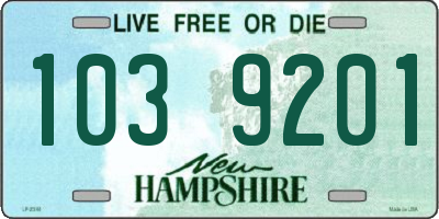 NH license plate 1039201