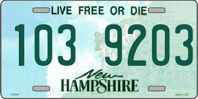 NH license plate 1039203