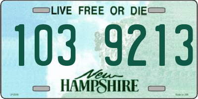 NH license plate 1039213