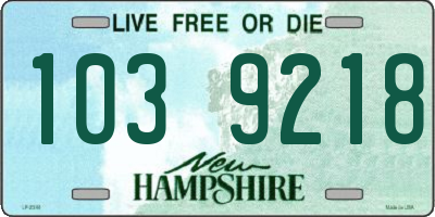 NH license plate 1039218