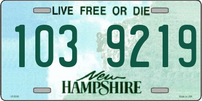 NH license plate 1039219