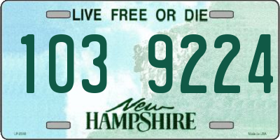 NH license plate 1039224