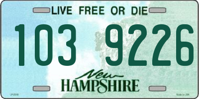 NH license plate 1039226