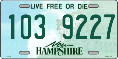 NH license plate 1039227