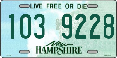 NH license plate 1039228