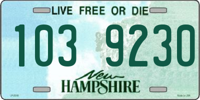 NH license plate 1039230